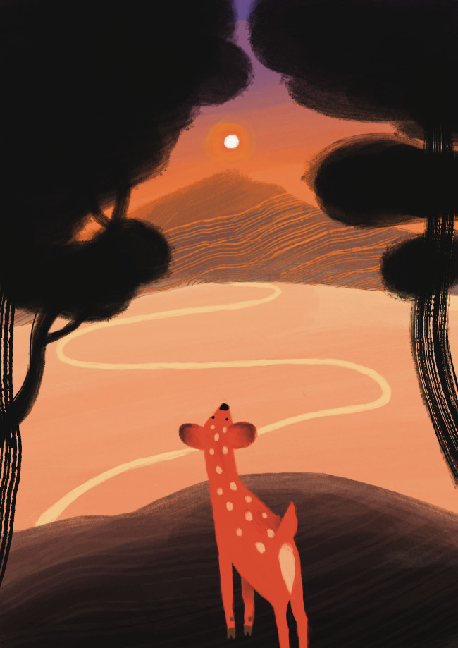 8 deer