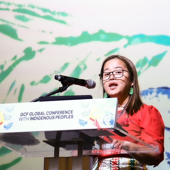 GCF Global Conference With Indigenous Peoples Visual19