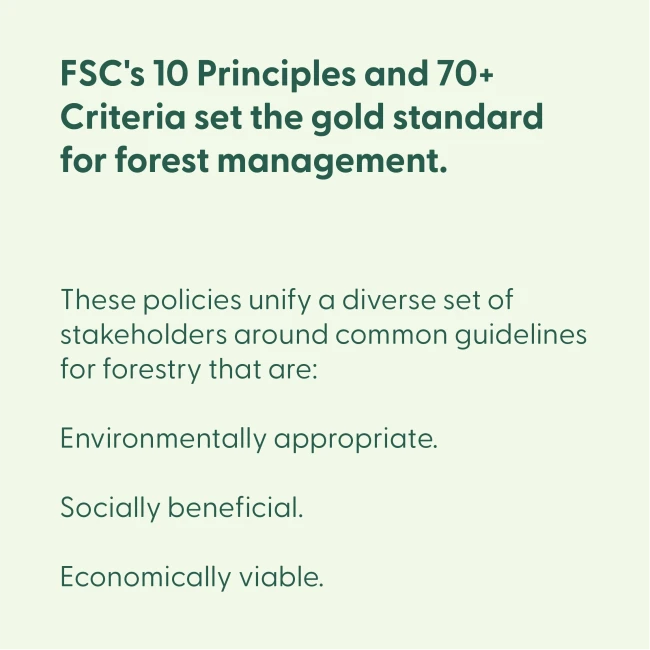 Principles Criteria Portfolio 08