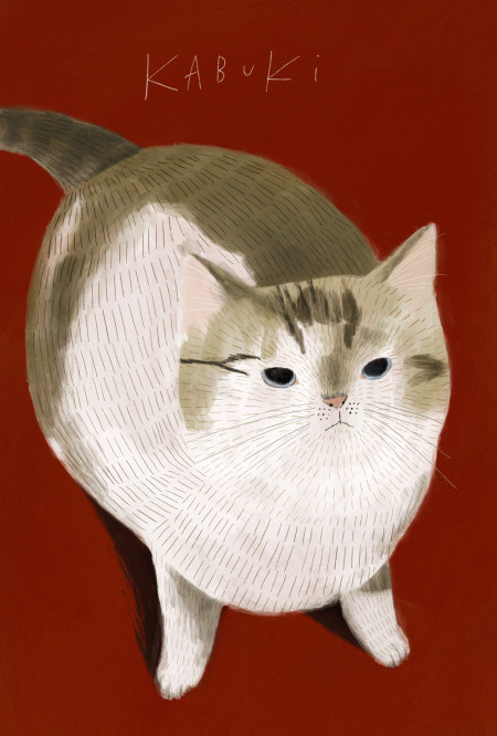 yaka hara cat2