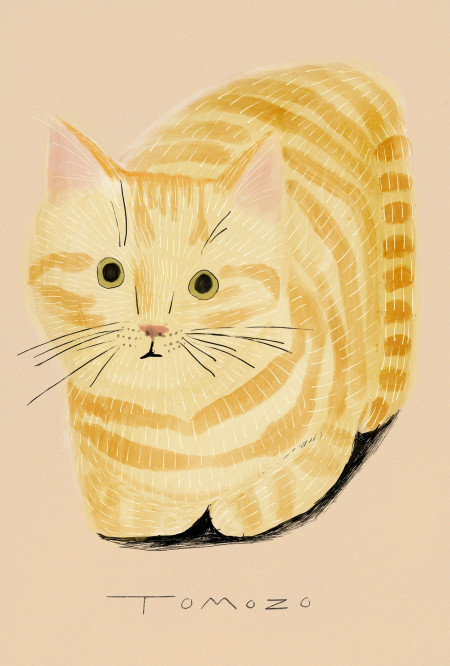 yaka hara cat4