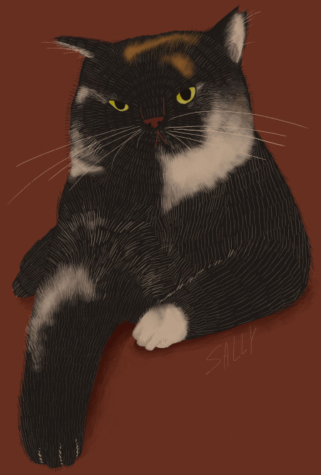 yaka hara cat5