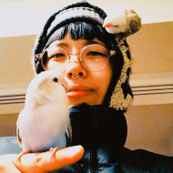 Yaka birds